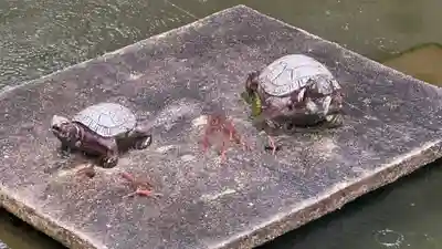 波賀八幡神社(兵庫県)
