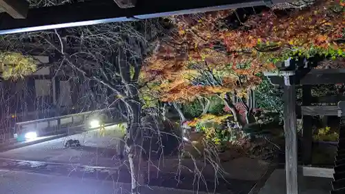 妙顯寺（妙顕寺）(京都府)