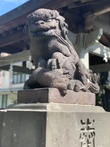 新橋浅間神社の狛犬