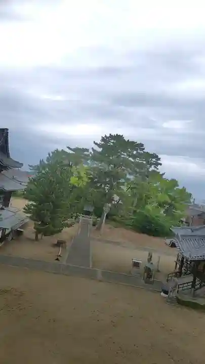 善通寺の{uncategorized: "未分類", other: "その他", undefined: "問題あり", building: "その他建物", grave: "お墓", sacred_gate: "鳥居", guardian: "狛犬", statue: "像", buddha: "仏像", history: "歴史", nature: "自然", garden: "庭園", animal: "動物", pagoda: "塔", temizu: "手水舎", mountain_gate: "山門・神門", sanctuary: "本殿・本堂", subordinate: "末社・摂社", art: "芸術", scenery: "景色", jizo: "地蔵", ema: "絵馬", goshuin: "御朱印", omikuji: "おみくじ", items: "授与品その他", amulet: "お守り", goshuincho: "御朱印帳", eats: "食事", festival: "お祭り", votive_dance: "神楽", shichigosan: "七五三参", wedding: "結婚式", experience: "体験その他", initially: "初詣", around: "周辺", anti_infection: "感染症対策"}