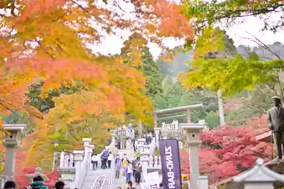 大山阿夫利神社(神奈川県)