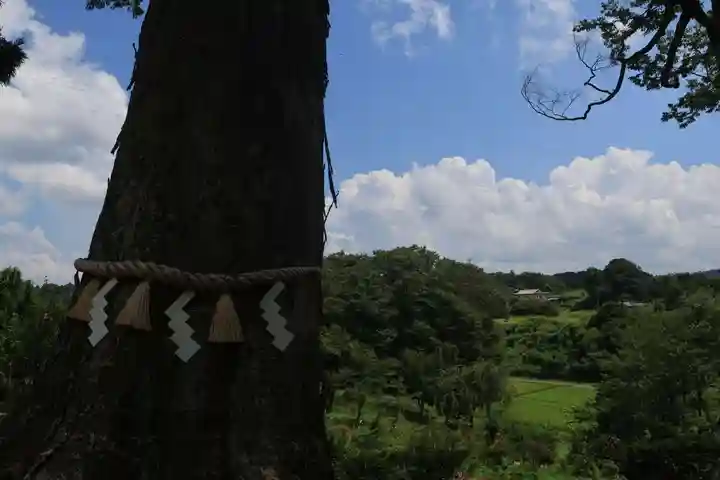 阿久津「田村神社」(郡山市阿久津町)旧社名:伊豆箱根三嶋三社の自然