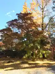 永源寺の庭園