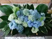 北広島市総鎮守 廣島神社(北海道)