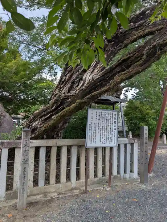 高野神社(岡山県)