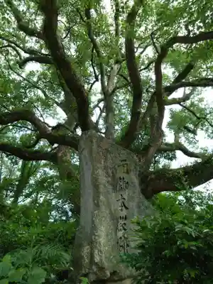 宮地嶽神社(福岡県)