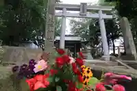 熊野福藏神社の鳥居