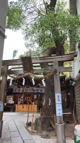 少彦名神社の鳥居