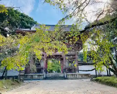 醍醐寺(京都府)