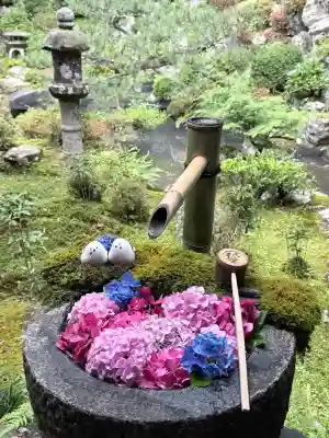 柳谷観音　楊谷寺(京都府)