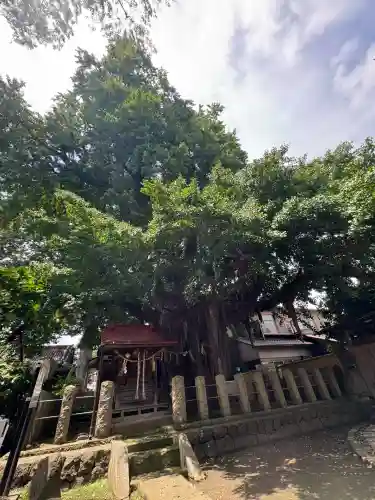 宮城野八幡神社(宮城県)