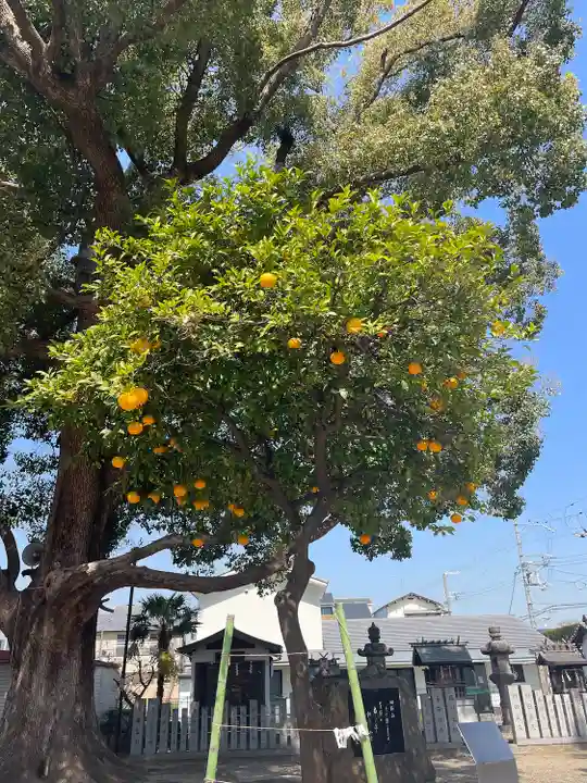 深江稲荷神社(大阪府)