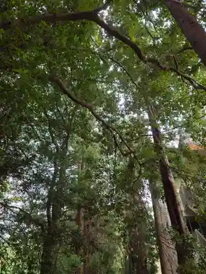 柏田神社(茨城県)