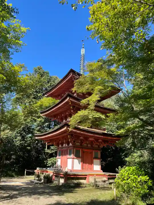 浄瑠璃寺(京都府)