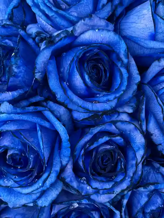 上尾御嶽神社の手水舎