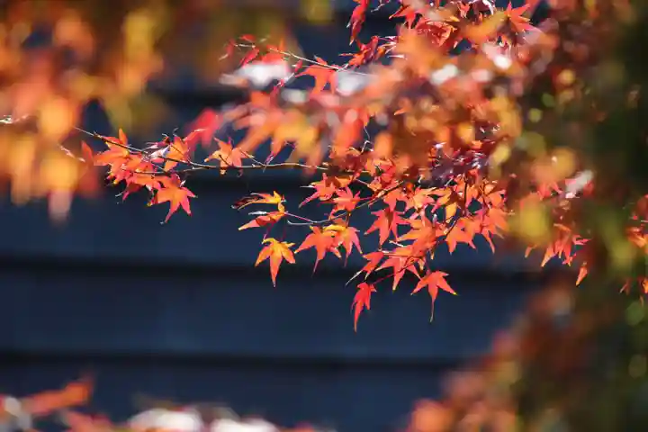国宝 大法寺の自然