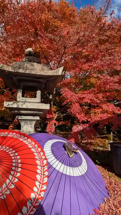 勝林寺(京都府)