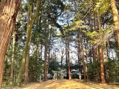 槌之神神社(滋賀県)