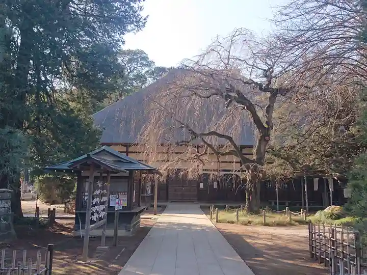 茂林寺の本殿・本堂