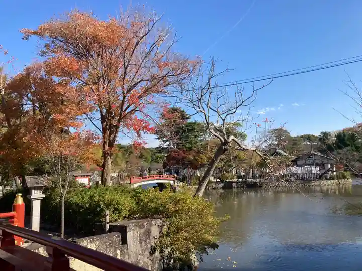 鶴岡八幡宮の庭園