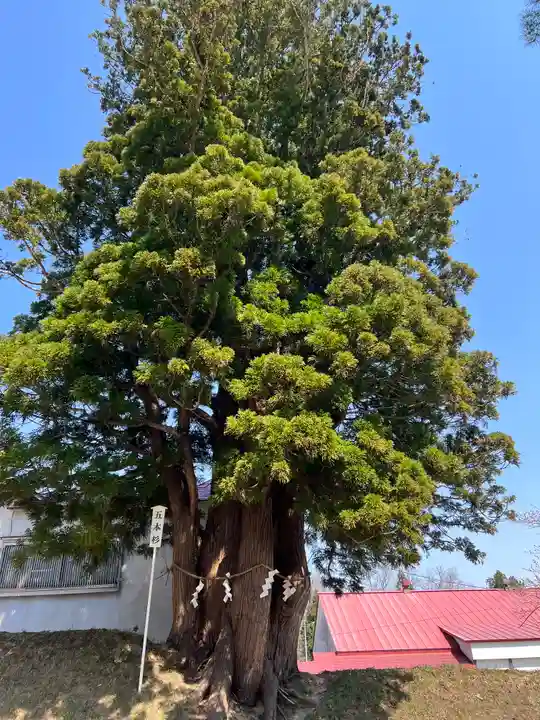 岩木山神社(青森県)
