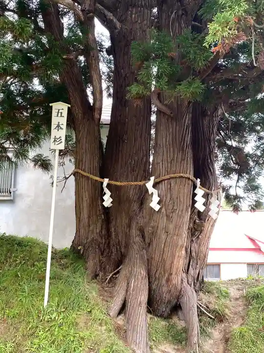 岩木山神社の自然