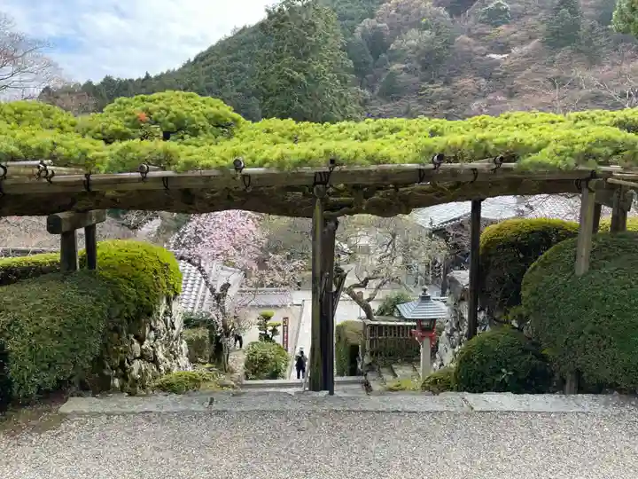 善峯寺(京都府)