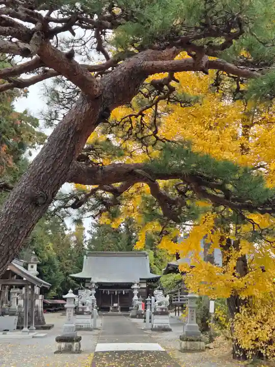 近津神社(栃木県)