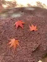 滑川神社 - 仕事と子どもの守り神(福島県)