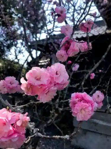 丹生官省符神社の自然