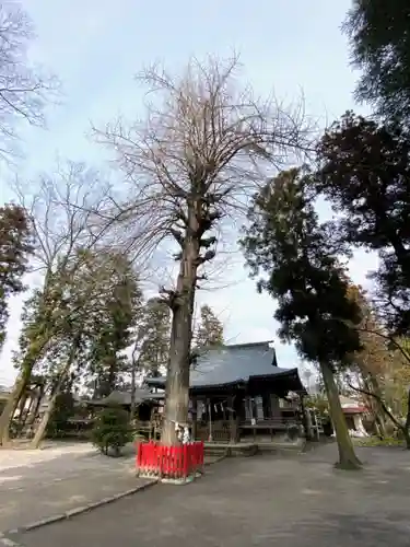 八坂神社（葛生町）のその他建物