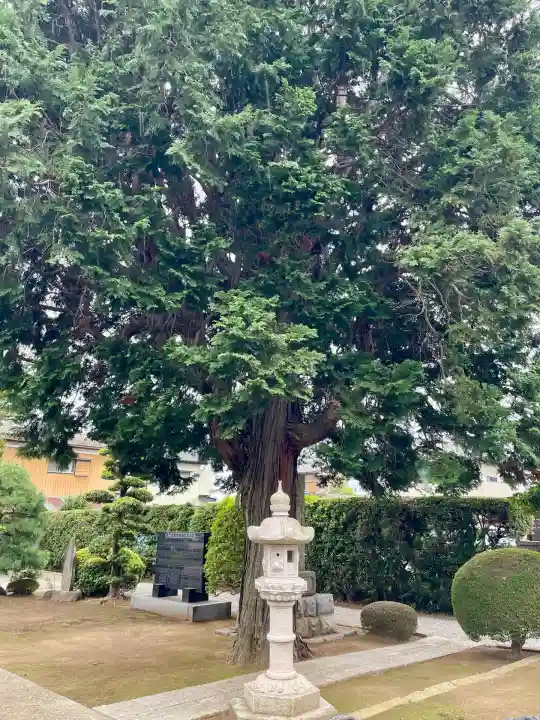 光了寺(茨城県)