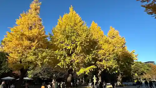 靖國神社(東京都)