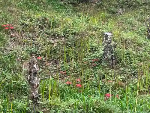 国宝 大法寺(長野県)