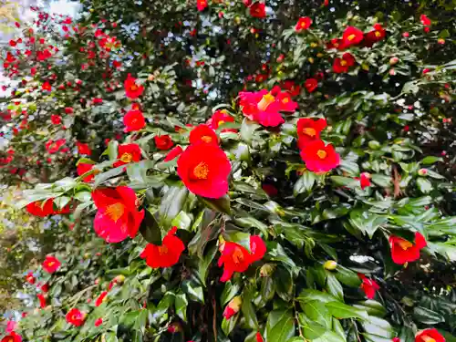 守りの神　藤基神社の庭園