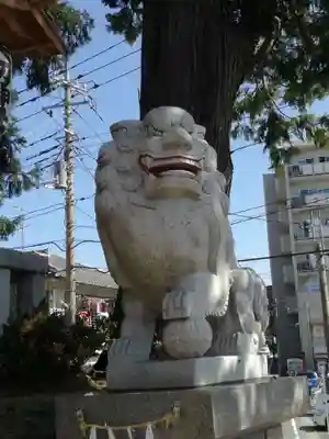 矢切神社の狛犬