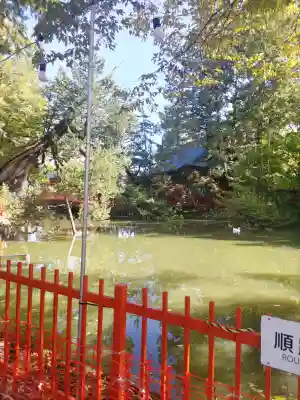 生島足島神社の{uncategorized: "未分類", other: "その他", undefined: "問題あり", building: "その他建物", grave: "お墓", sacred_gate: "鳥居", guardian: "狛犬", statue: "像", buddha: "仏像", history: "歴史", nature: "自然", garden: "庭園", animal: "動物", pagoda: "塔", temizu: "手水舎", mountain_gate: "山門・神門", sanctuary: "本殿・本堂", subordinate: "末社・摂社", art: "芸術", scenery: "景色", jizo: "地蔵", ema: "絵馬", goshuin: "御朱印", omikuji: "おみくじ", items: "授与品その他", amulet: "お守り", goshuincho: "御朱印帳", eats: "食事", festival: "お祭り", votive_dance: "神楽", shichigosan: "七五三参", wedding: "結婚式", experience: "体験その他", initially: "初詣", around: "周辺", anti_infection: "感染症対策"}
