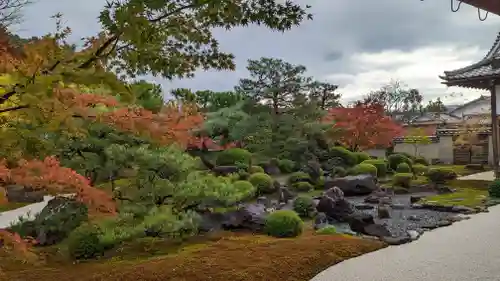妙満寺(京都府)