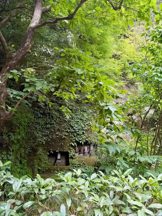 明月院の{uncategorized: "未分類", other: "その他", undefined: "問題あり", building: "その他建物", grave: "お墓", sacred_gate: "鳥居", guardian: "狛犬", statue: "像", buddha: "仏像", history: "歴史", nature: "自然", garden: "庭園", animal: "動物", pagoda: "塔", temizu: "手水舎", mountain_gate: "山門・神門", sanctuary: "本殿・本堂", subordinate: "末社・摂社", art: "芸術", scenery: "景色", jizo: "地蔵", ema: "絵馬", goshuin: "御朱印", omikuji: "おみくじ", items: "授与品その他", amulet: "お守り", goshuincho: "御朱印帳", eats: "食事", festival: "お祭り", votive_dance: "神楽", shichigosan: "七五三参", wedding: "結婚式", experience: "体験その他", initially: "初詣", around: "周辺", anti_infection: "感染症対策"}
