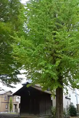 髙部屋神社(神奈川県)