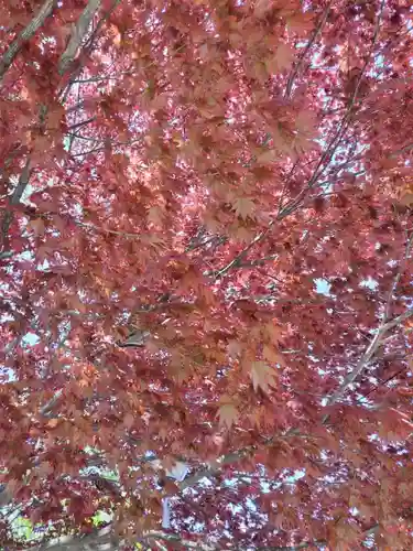 厚別神社(北海道)