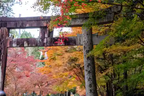 大矢田神社(岐阜県)