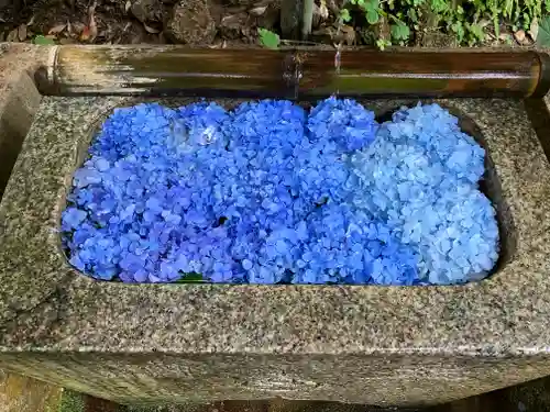 伏見稲荷大社　御膳谷奉拝所の手水舎