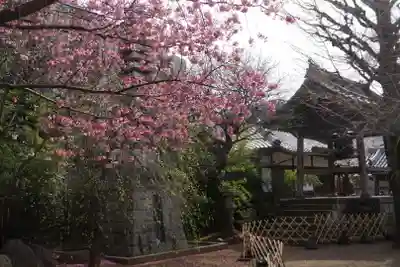 新井薬師（梅照院）のその他建物