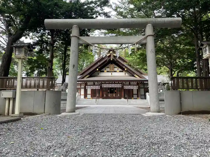 新琴似神社の鳥居