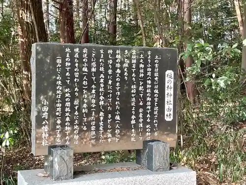 槌之神神社の歴史