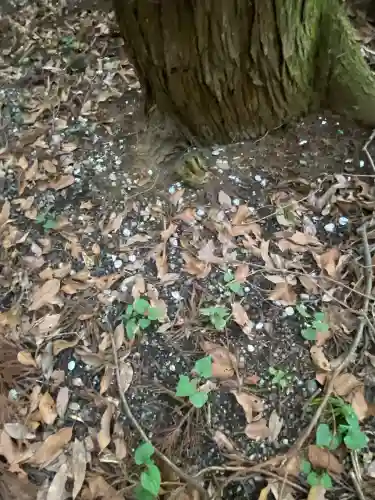 沼尾神社(茨城県)