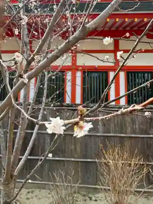 玉造稲荷神社の{uncategorized: "未分類", other: "その他", undefined: "問題あり", building: "その他建物", grave: "お墓", sacred_gate: "鳥居", guardian: "狛犬", statue: "像", buddha: "仏像", history: "歴史", nature: "自然", garden: "庭園", animal: "動物", pagoda: "塔", temizu: "手水舎", mountain_gate: "山門・神門", sanctuary: "本殿・本堂", subordinate: "末社・摂社", art: "芸術", scenery: "景色", jizo: "地蔵", ema: "絵馬", goshuin: "御朱印", omikuji: "おみくじ", items: "授与品その他", amulet: "お守り", goshuincho: "御朱印帳", eats: "食事", festival: "お祭り", votive_dance: "神楽", shichigosan: "七五三参", wedding: "結婚式", experience: "体験その他", initially: "初詣", around: "周辺", anti_infection: "感染症対策"}