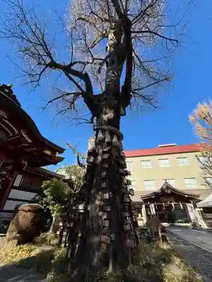 素盞雄神社(東京都)