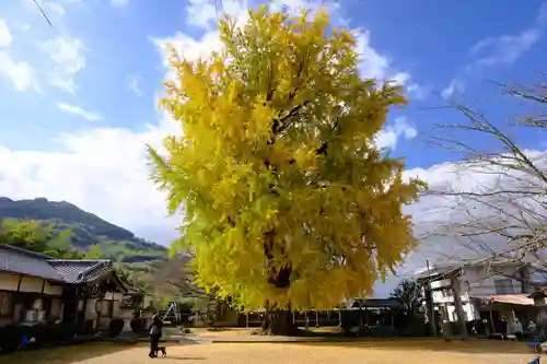 丹生酒殿神社の自然